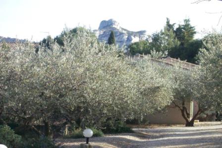 self-catering accommodation in saint remy de provence : les jardins de Fontanille