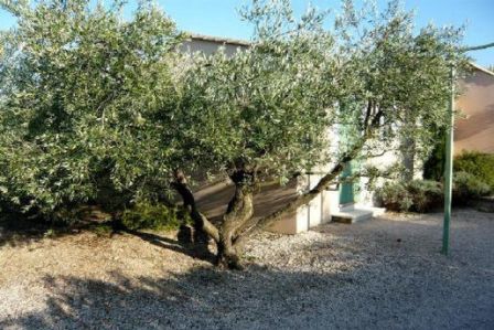 gite piscine saint remy de provence